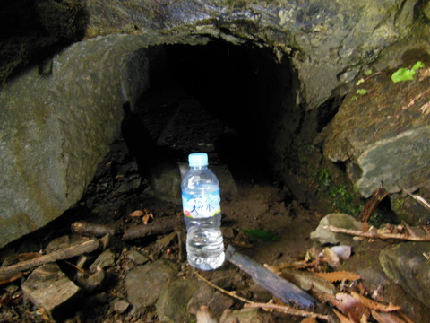 DSCN0703