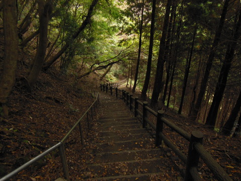 DSCN0745