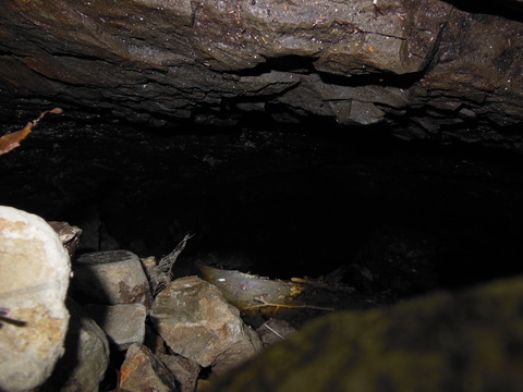 DSCN0641