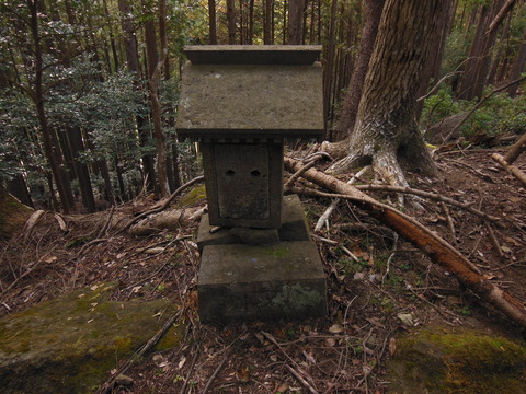 DSCN0735