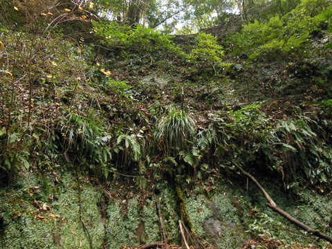 DSCN8906