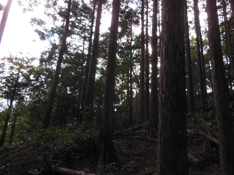 DSCN0731