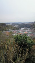 kamakurayama02s
