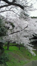 motomachipark03s
