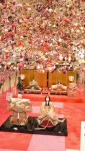 tsurushibina1s