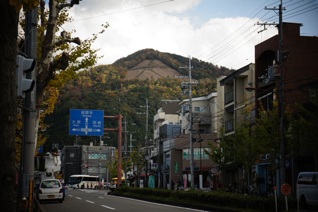 DSC04594