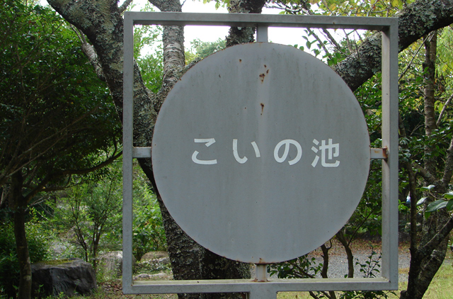 ise1