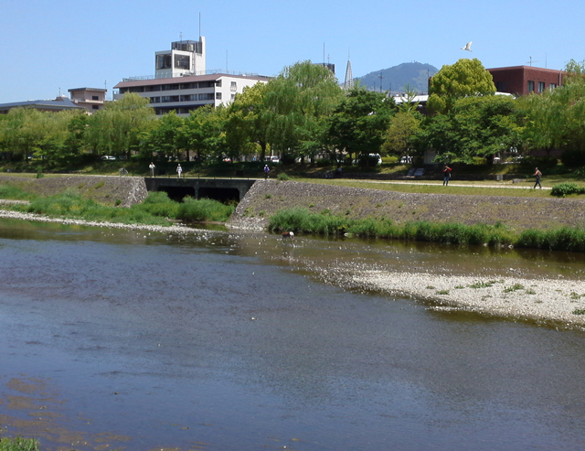 鴨川