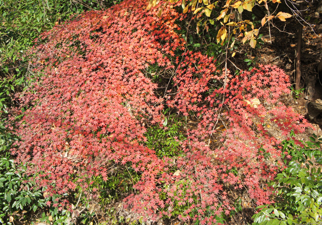 DSC01771