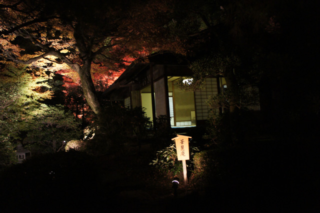 知恩院