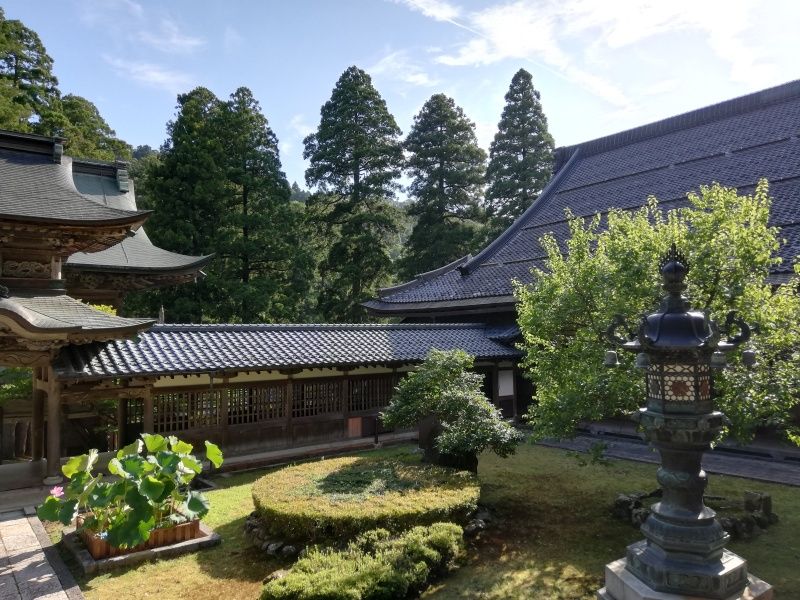 2018pc0086