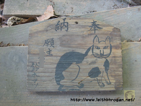 201208neko_002