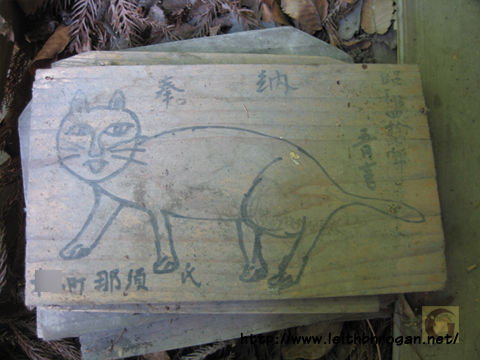 201208neko_023