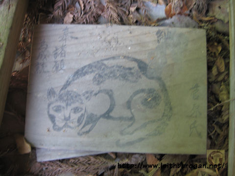 201208neko_042