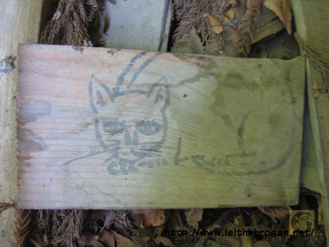 201208neko_069