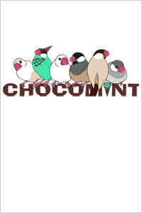 chokomint_iphone_11