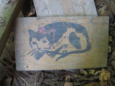 201208neko_037