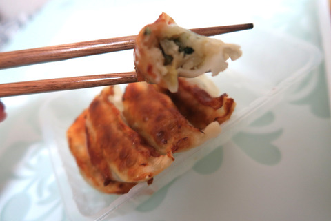 gyoza
