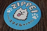 20110923_zippei1