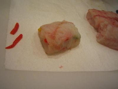 IMG_8966_400