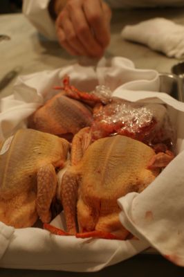 DSC04983_400