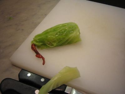IMG_9680_400