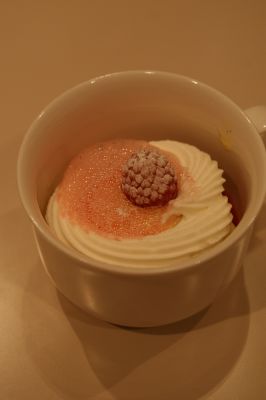 DSC05075_400