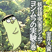 �Ų�����ȥ襷��� �������裱��
