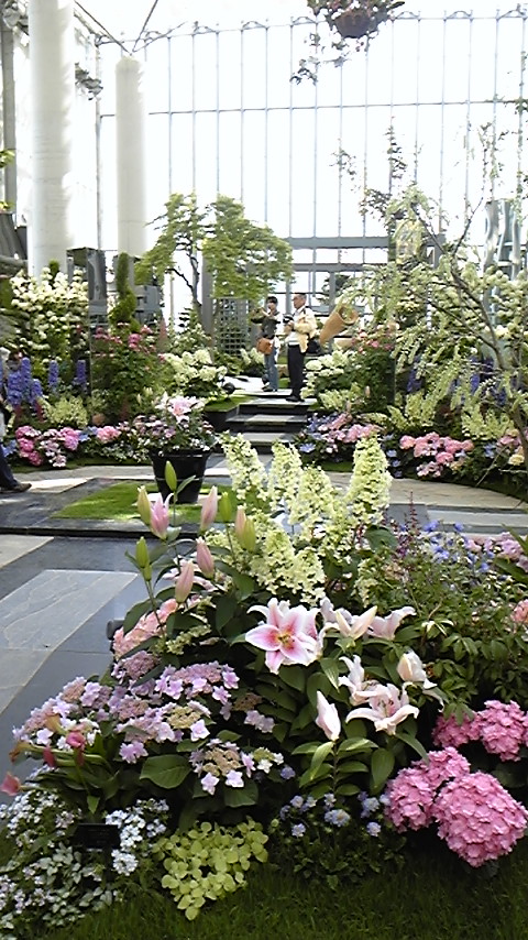 DVC00355