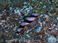 P1000094