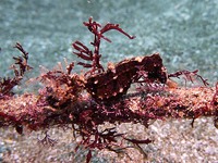 P1000077