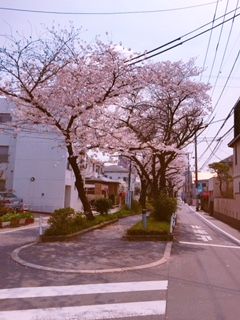 2018¤µ¤¯¤é£¸