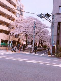 2018¤µ¤¯¤é£²
