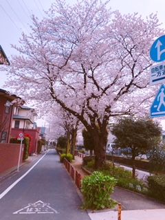 2018¤µ¤¯¤é£·