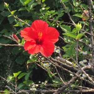 宮崎3