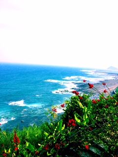宮崎1