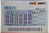 20100617_loto6