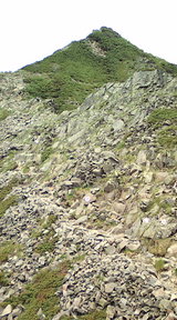 e4893374.jpg