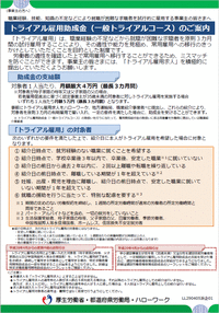nlb0506