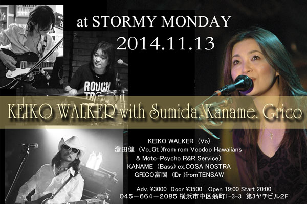 20141113stormyflyer400