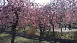 20180324_144423