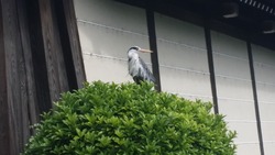 20170505_090534