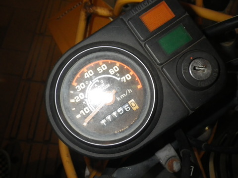 IMGP0445