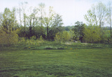 PICT0007
