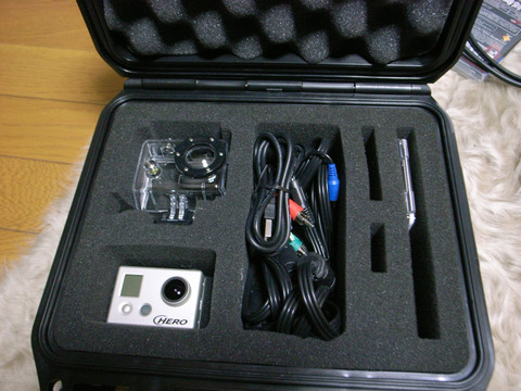 gpr016