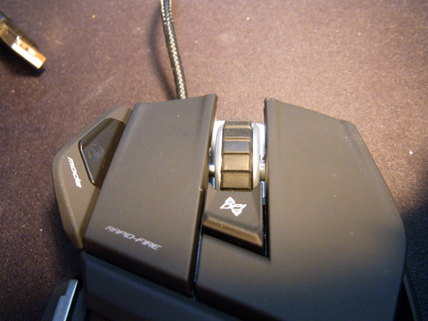 Rat025