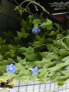 ab55882b.jpg