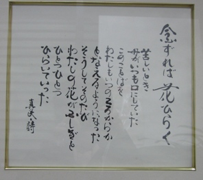 bd965fe9.jpg