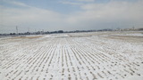8b70175a.jpg