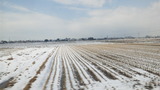 b906562a.jpg